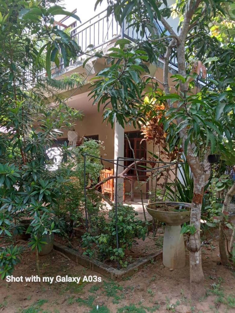 Bamboo Grove Villa タンガラ エクステリア 写真